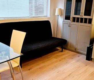 Private|Furnished BASEMENT Micro Studio - Available NOW until April 1 - Photo 2