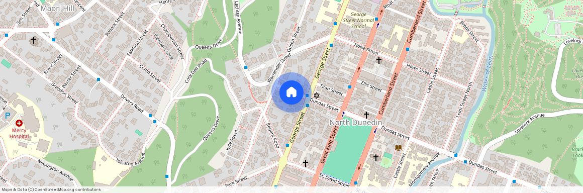 9 Dundas Street, Dunedin