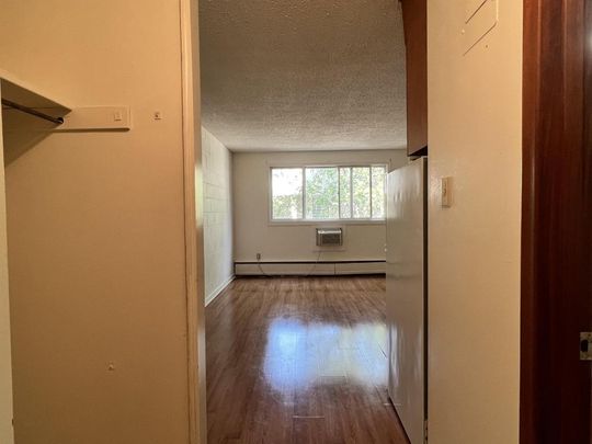 One Bedroom Apartment Unit for Rent in Regina - Photo 1