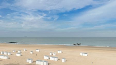 LOCATION Appartement 1 CH Knokke-Zoute - Digue de mer / près de la Place Albert - Foto 3