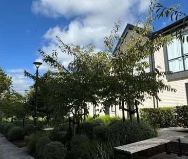 Charming 2 Bedroom Townhouse in Massey! - Photo 4