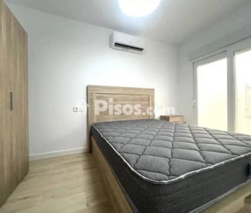 Chalet en alquiler en Calle del Mar del Coral - Photo 3