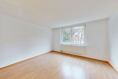 1.5-room studio with garden seating in Basel - Photo 5