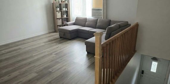 Appartement 5/12 à louer à St Eustache - Photo 2