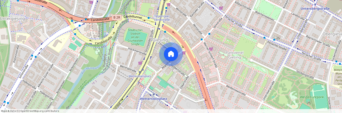 Reginfriedstraße 4, Obergiesing, 81547, München