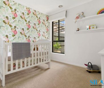 5 Ron Hoy Street, Macgregor ACT 2615 - House For Rent | Domain - Photo 1