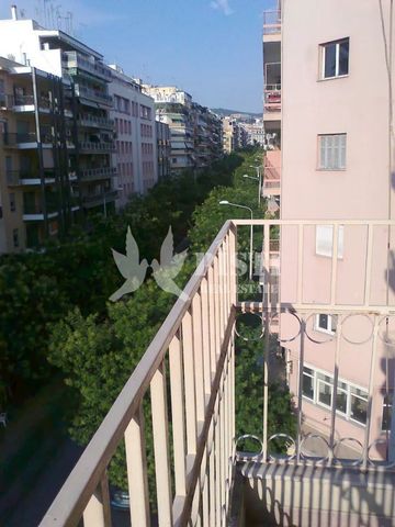 Διαμέρισμα για ενοικίαση - Κέντρο Θεσσαλονίκης, - Φωτογραφία 5