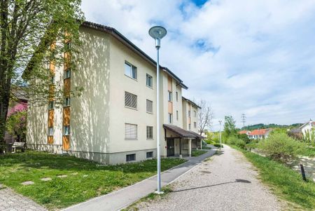 3.5 Zimmer, 80 m², EG - Foto 2