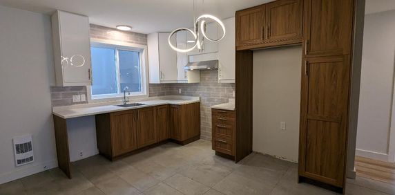 Trois-Rivières Ouest - Grand 4 1/2 sur Grenier***non fumeur***1er mois gratuit*** - Photo 2