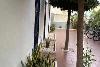 Daimús