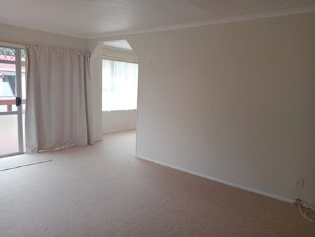 Roomy, Family Home - Waihi - Photo 2