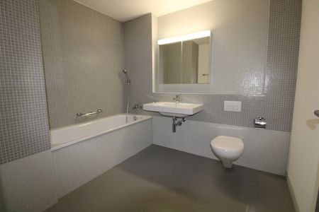 Traumhafte 4.5-Zimmerwohnung in Winterthur-Wülflingen zu vermieten - Foto 5
