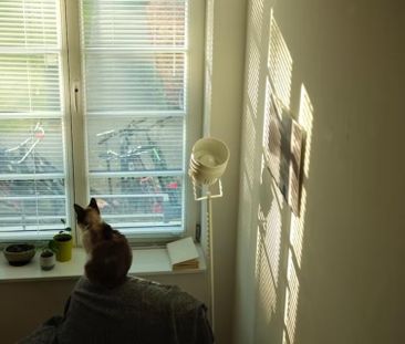 Seniorin sucht kleine Wohnung in Aachen - Foto 1
