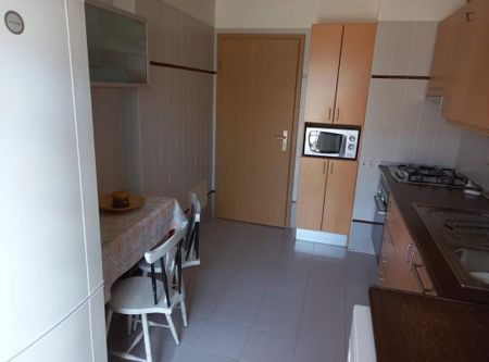 Rua Fernando Gusmão, Lisbon, Lisbon 1750-462 - Photo 3