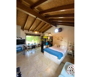 STUDIO APARTMENT IN MATOLA - ELCHE - Photo 5