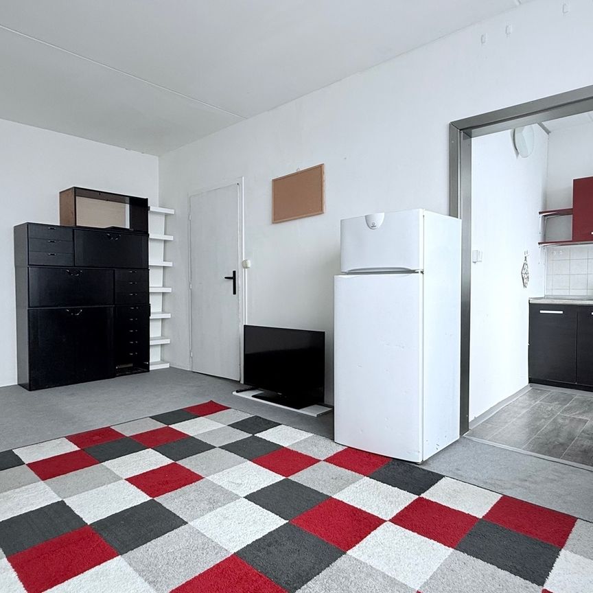 Pronájem bytu 1+kk v osobním vlastnictví 30 m², Praha 8 - Troja - Fotografie 1