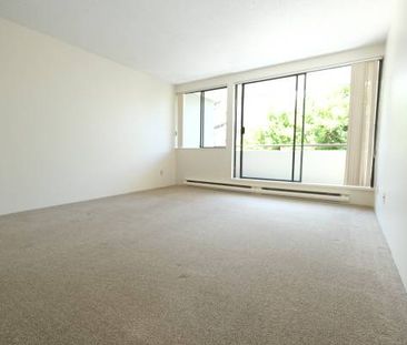 One Bedroom Apartment for Rent Next to Seawall - Photo 1