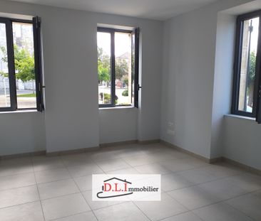 Location Appartement 1 pièce 24m² MONTESQUIEU 82200 - Photo 3