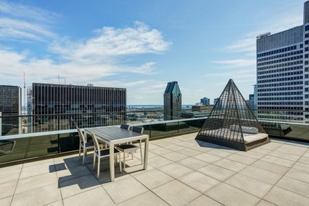 Appartement à louer - Montréal (Ville-Marie) (Centre Ouest) - Photo 4