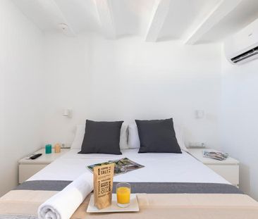 Penthouse with Private Terrace on Paseo del Born 24 - Photo 3