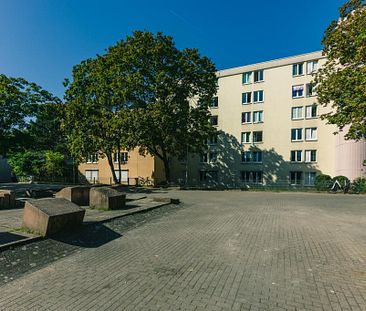 Studentenapartement in Mannheim zu vermieten! - Foto 3