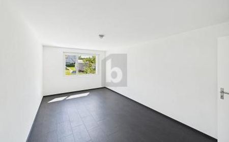 Wohnung in Dornach - Photo 2