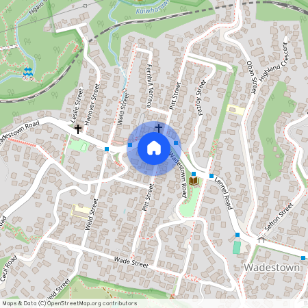 44 Pitt Street, Wadestown, Wellington