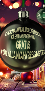 Kyrkogatan, Jörn - Photo 4