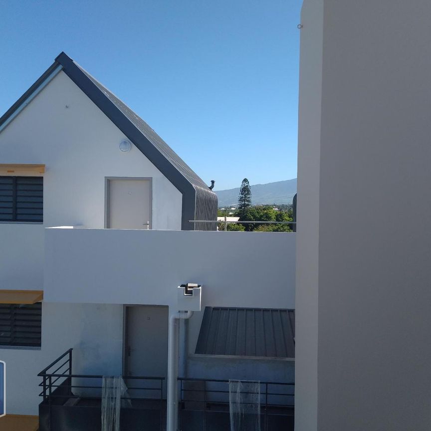 Location Appartement 1 pièce 29m² ST PIERRE 97410 - Photo 2