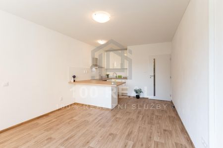 Pronájem bytu 1+kk a garsoniéry 30 m², Selicharova 1422, Hradec Králové Nový Hradec Králové - Fotografie 3
