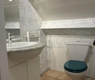 Location Appartement 1 pièce 19m² GRENOBLE 38000 - Photo 1