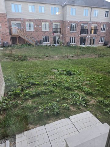 For Lease - 28 Roywood Street, Kitchener, Ontario - Photo 2