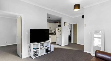 Modern 2-Bedroom Flat in the Heart of Aro Valley - Photo 5