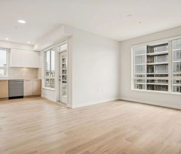 Avira — Cedar - C - Photo 3
