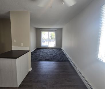Beautiful Modern One Bedroom Available Now - Photo 4