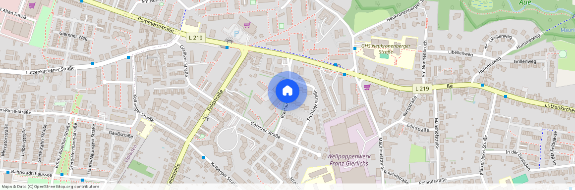 Breslauer Str., 51381 Nordrhein-Westfalen - Leverkusen