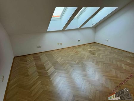 Terrassentraum- 3 Zimmer plus Wohnküche (inklusive Heizkosten & WW) - Photo 4
