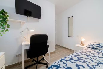 Senda del Secanet, Valencia, Valencian Community 46035