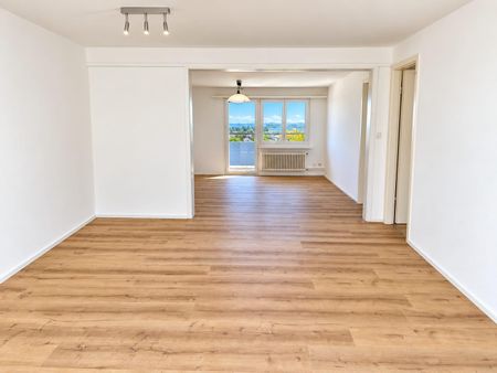Attikawohnung mit riesiger Terrasse und Aussicht bis zum Bodensee - Photo 2