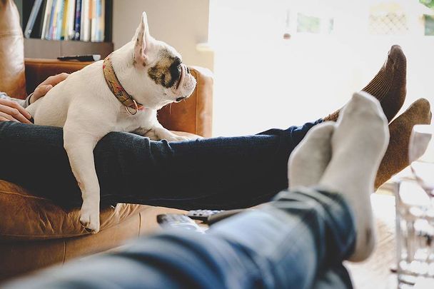 Spacious Apartments for Rent in Côte-des-Neiges (NDG), Montréal at Rockhill Apartments. - Photo 1