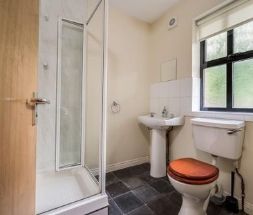 Apt 2, Tate Courtyard, 23atates Avenue, Belfast, BT9 7BY - Photo 5