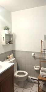 Charming 3½ in the Heart of Parc-Extension / Villeray - Photo 4