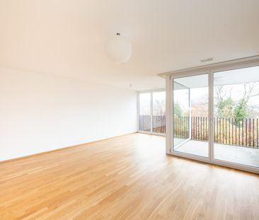 3.5 Zimmer, 72 m², EG - Foto 1