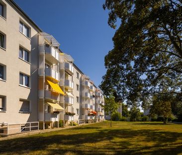 Frisch sanierte 3 Zimmer-Wohnung im Erdgeschoss mit Balkon in Merse... - Photo 1