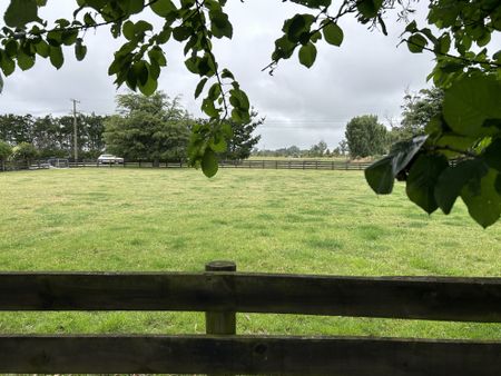 Lifestyle Property - Photo 4