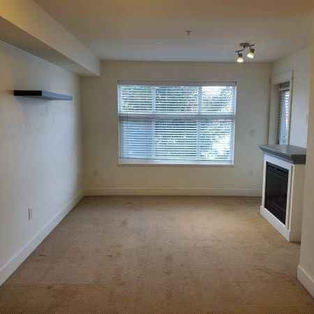 1BD+1DEN & 1BT Suite 2515 Park Dr, Abbotsford - Photo 4