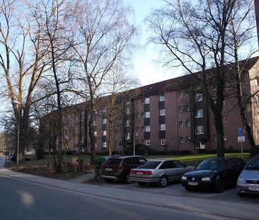 3-Zimmer-Wohnung in Detmold Knochenbach - Photo 4