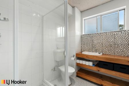 Charming One Bedroom Unit - Photo 4