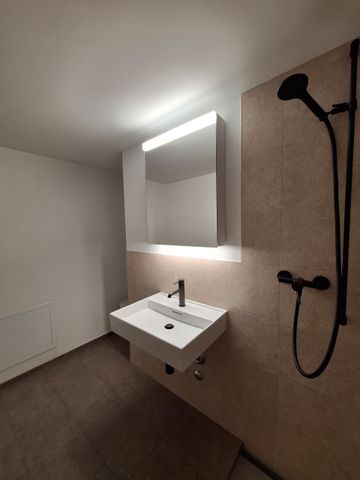 Erstbezug Loft-Maisonette mit Cheminée auf 120 m2 - Photo 3