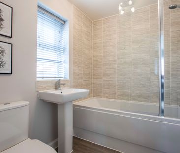 3 bedroom house to rent Academy Terrace, Walton Hall Drive, Felixst... - Photo 6